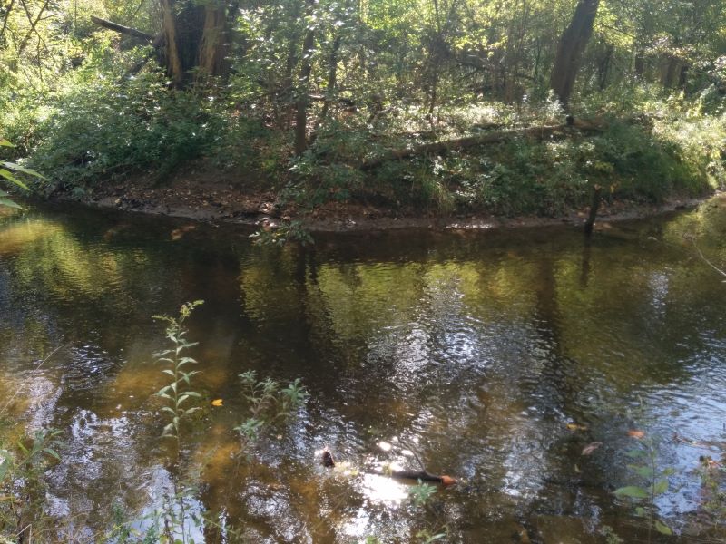 Creek at ITC Trail